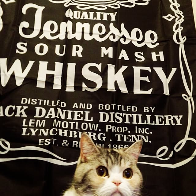 yukiさんの実例写真
