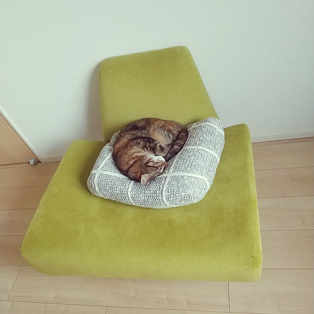 croquetteさんの実例写真