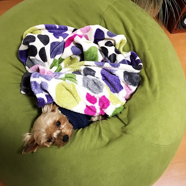 ykytmyさんの実例写真