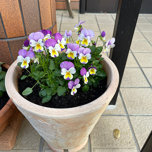 chikaさんの部屋