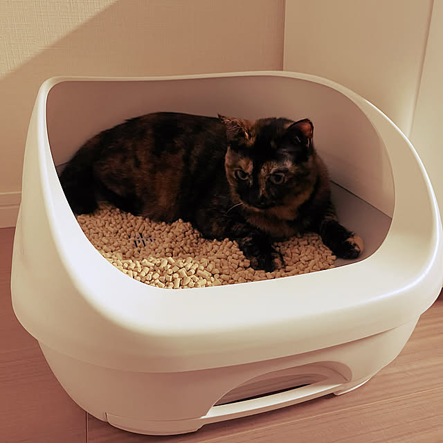 mmさんの実例写真