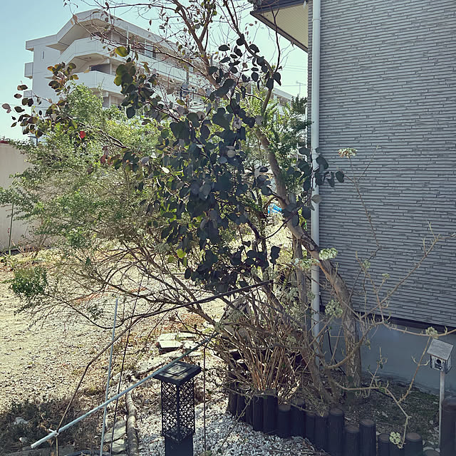 okadajapanさんの実例写真
