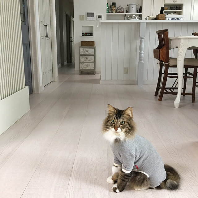 yuchiさんの実例写真
