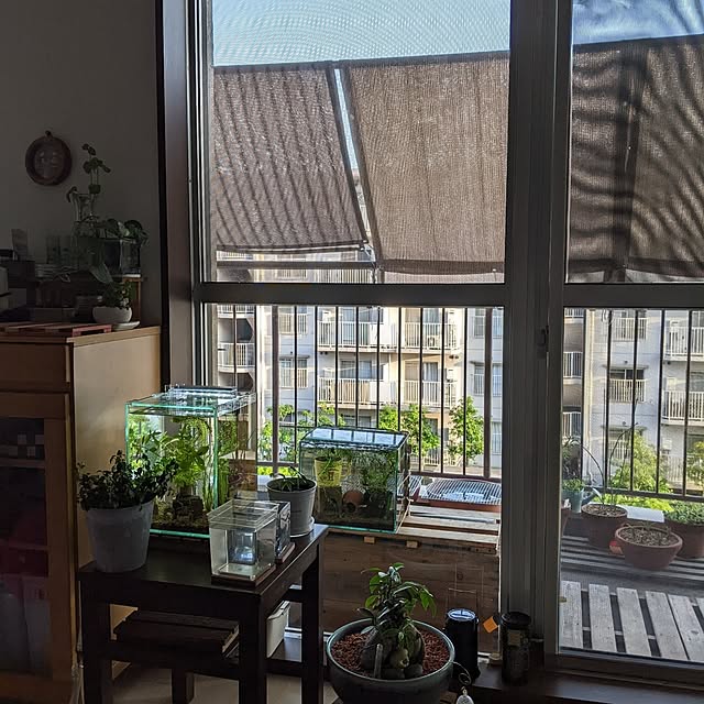 mi-saさんの部屋