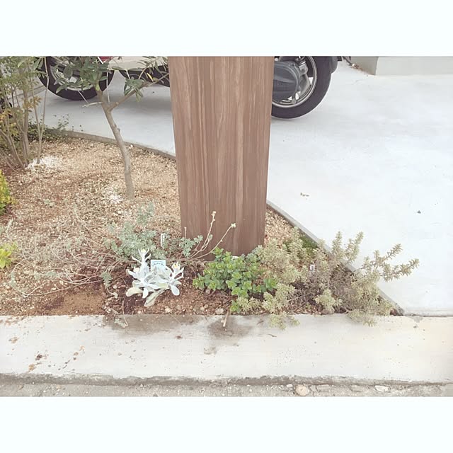 smhomeさんの実例写真