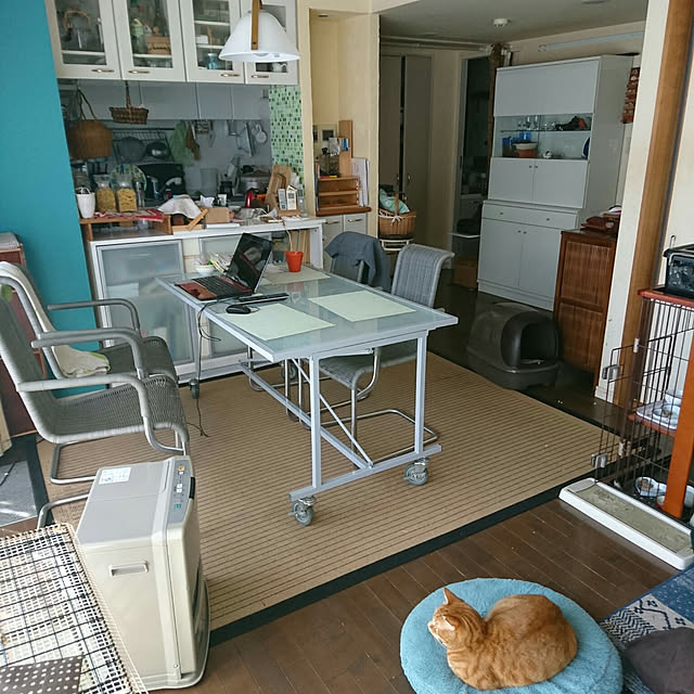okyosan101さんの実例写真