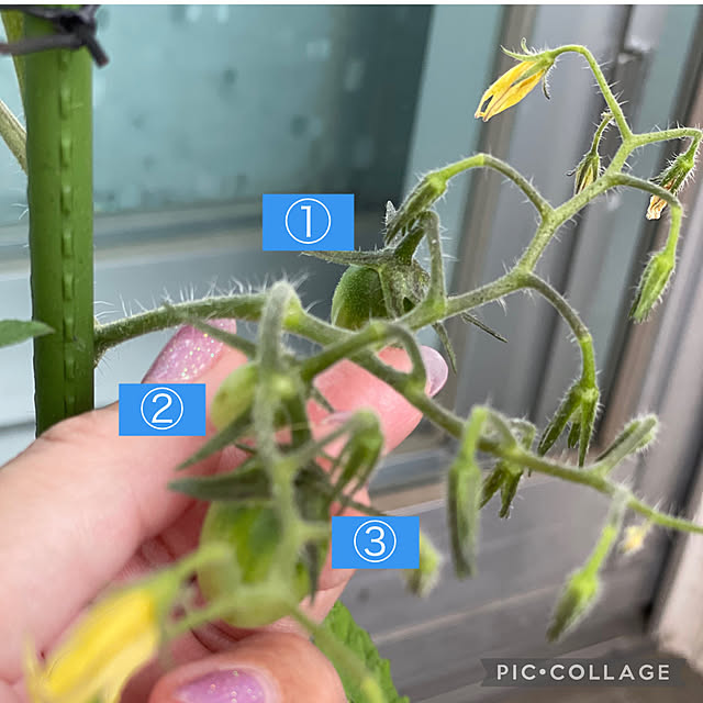aureaさんの実例写真