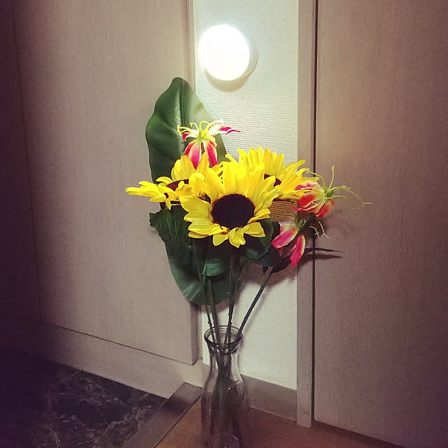 noaさんの実例写真