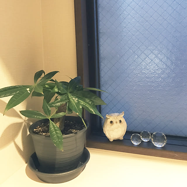 rinrinさんの実例写真