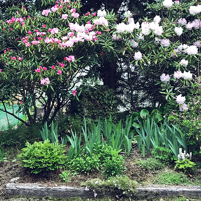 tukunさんの実例写真