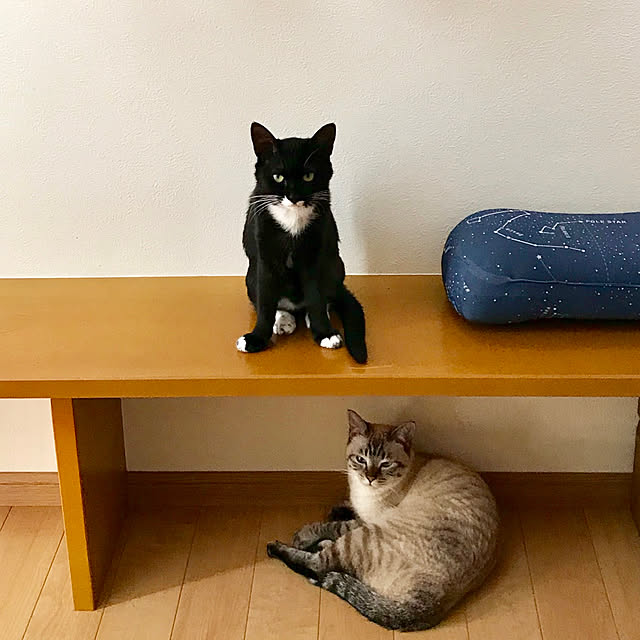 butachanさんの実例写真