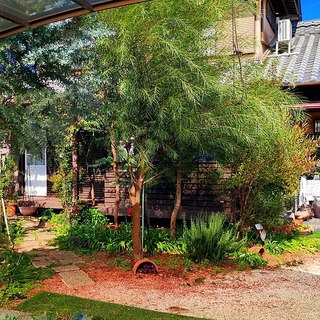 Toraziさんの実例写真