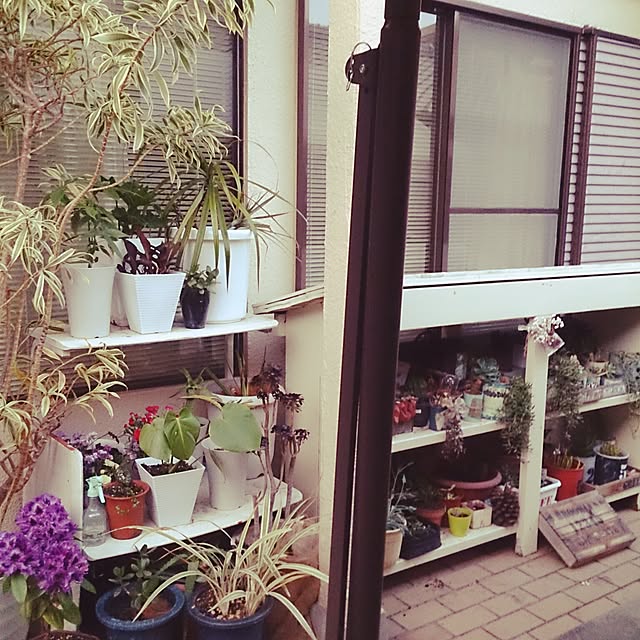 shs1019shsさんの実例写真