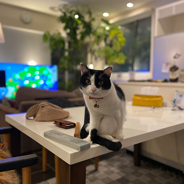 makoto07280417さんの部屋