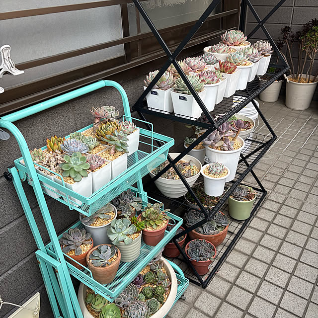 momocchiさんの部屋