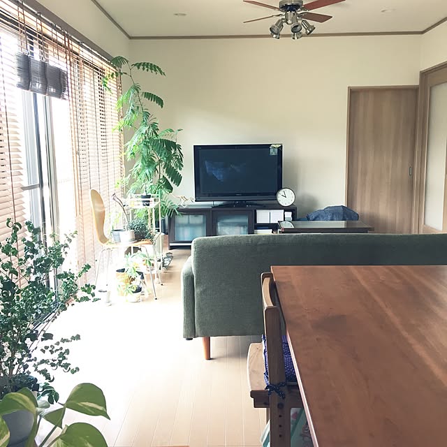 ao___.さんの実例写真