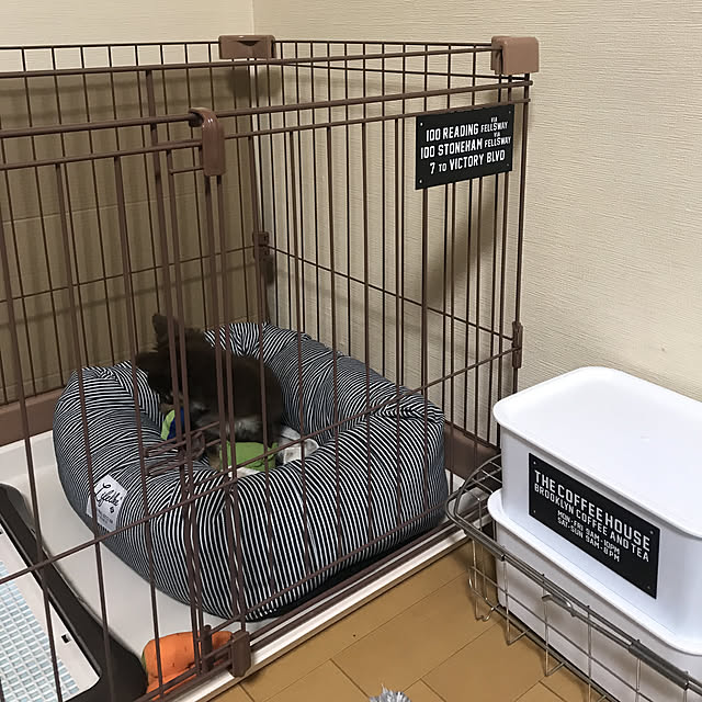 3434xxさんの実例写真