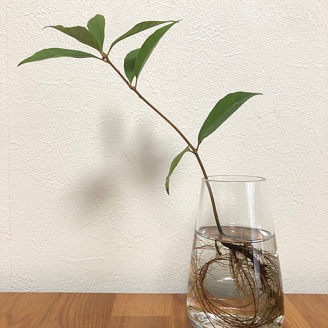 azureさんの実例写真