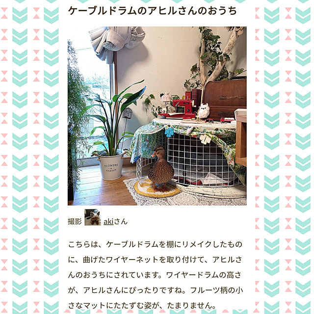 akiさんの実例写真