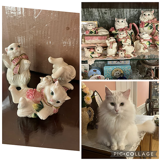sakuraさんの部屋