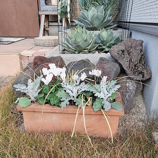 masarinn.さんの部屋