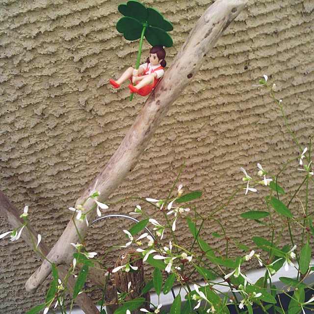 akr29さんの実例写真