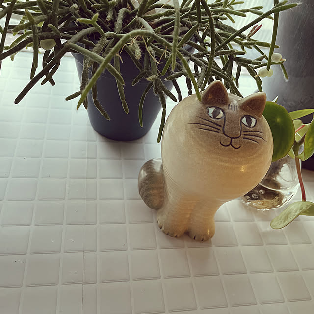 sanさんの実例写真