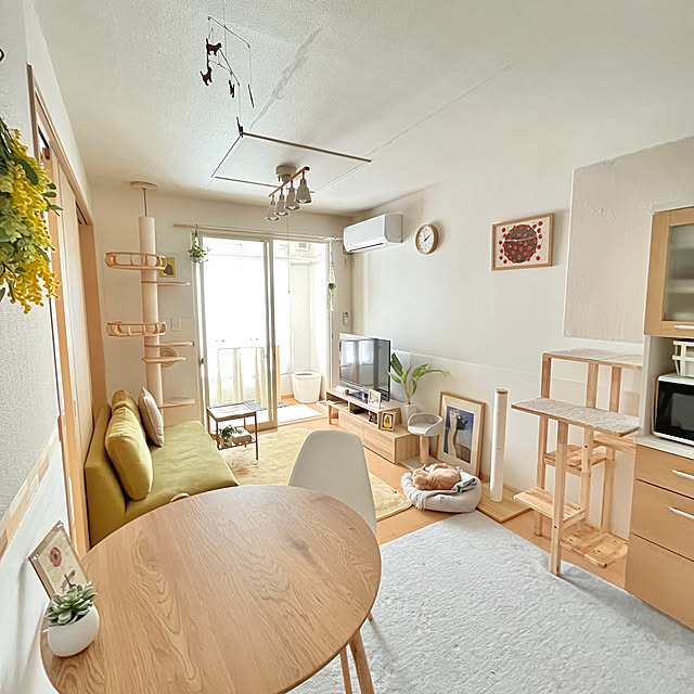 kiyomiさんの実例写真