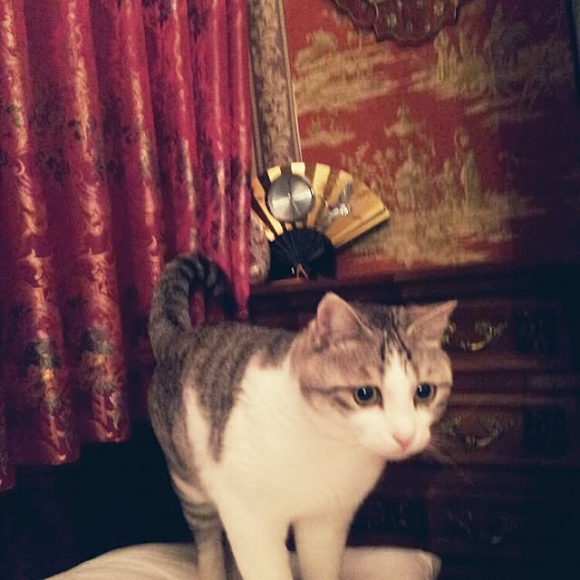 emmyyさんの実例写真