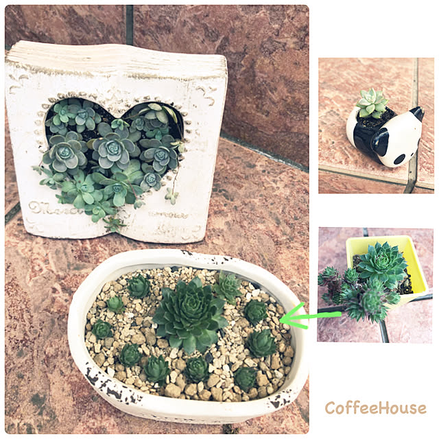 CoffeeHouseさんの実例写真