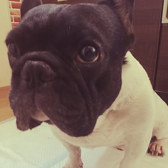 Masamiさんの実例写真