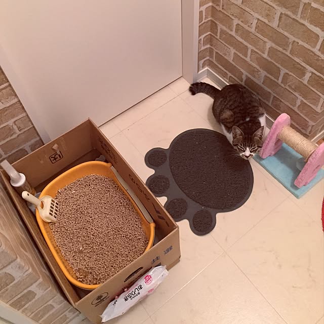shoukoさんの実例写真