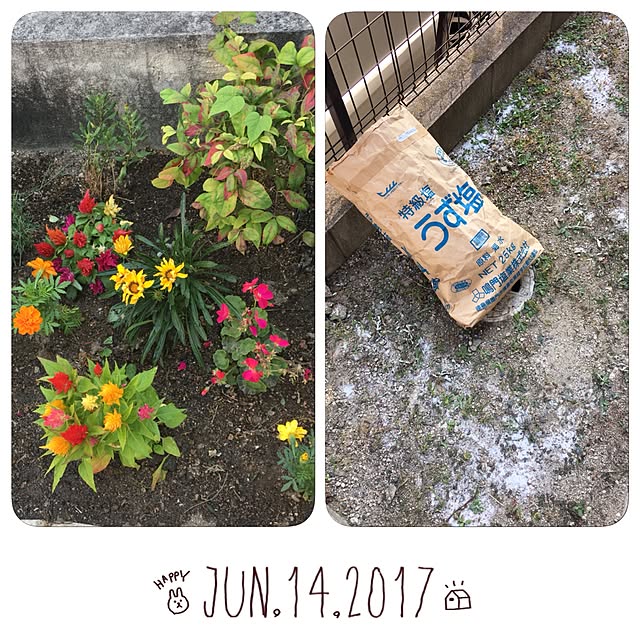 collonさんの実例写真