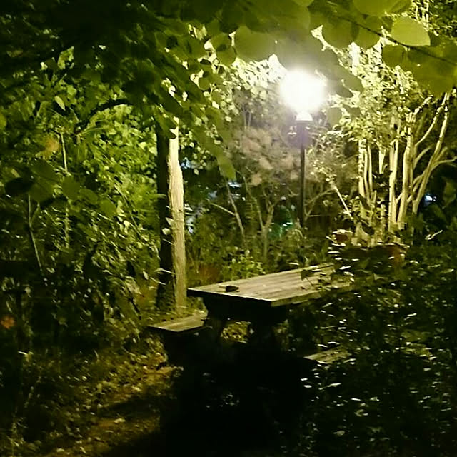 okaasanさんの実例写真