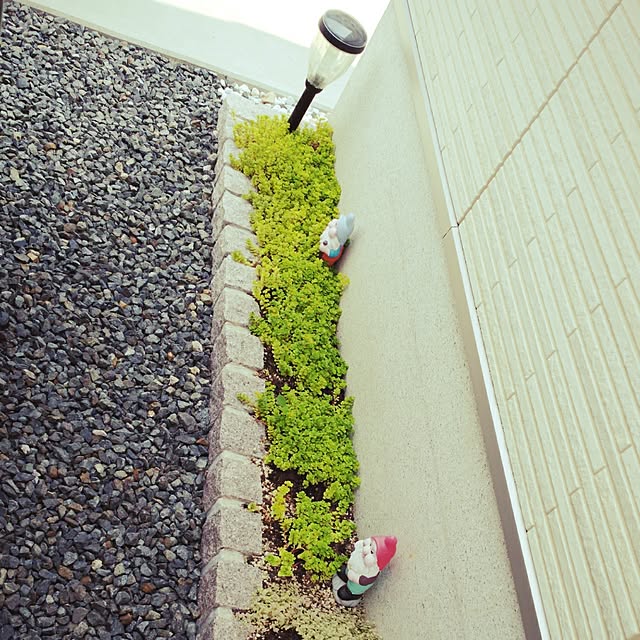 akiさんの実例写真
