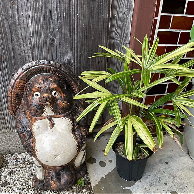 shin0719さんの実例写真