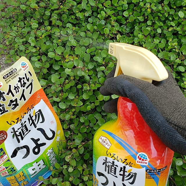 wanidaさんの実例写真