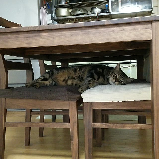 sorakoさんの実例写真