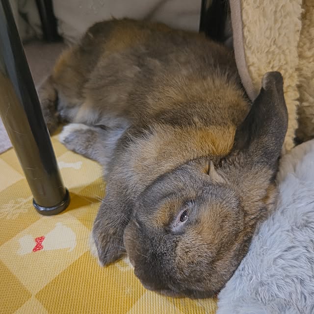 mariaさんの実例写真