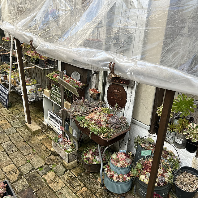 shhさんの部屋