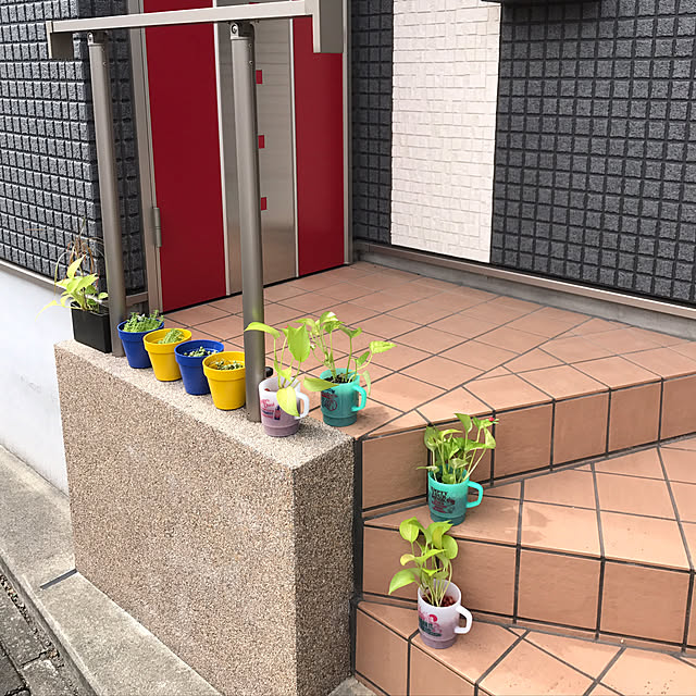 yuuco.tさんの実例写真