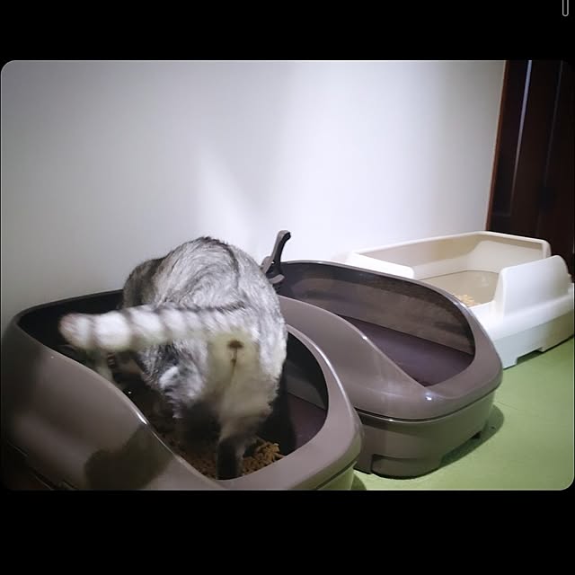 mntcさんの部屋