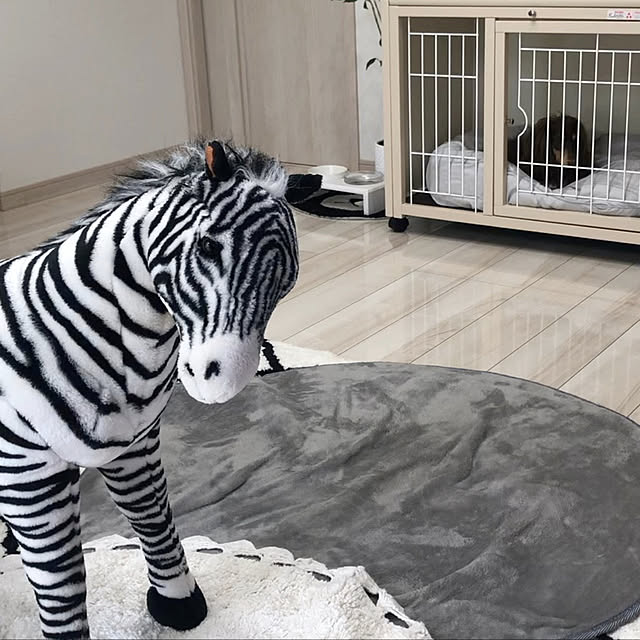 sunoaxxxさんの実例写真
