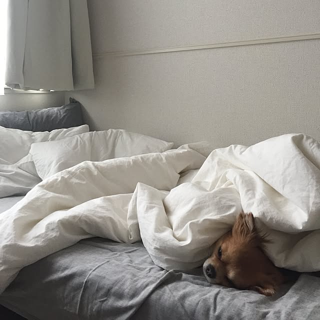 kinaさんの実例写真
