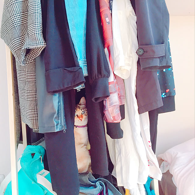 nanaさんの実例写真