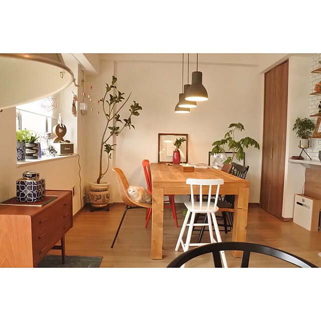 hara0707さんの実例写真