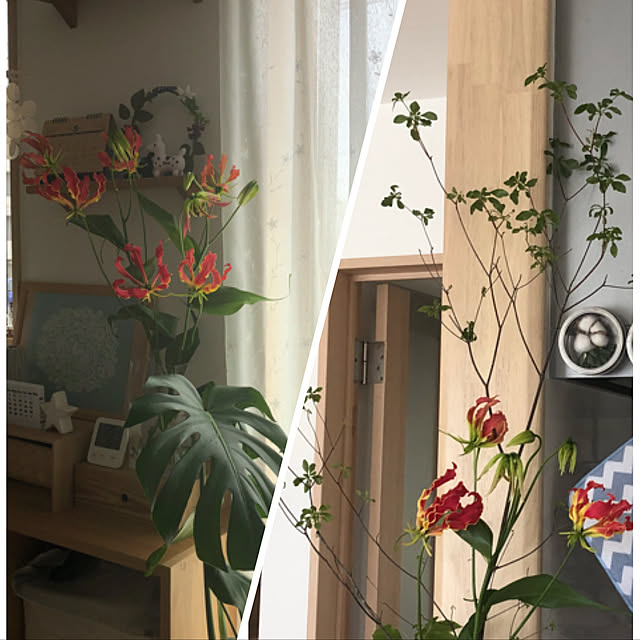 loliontoaliceveさんの実例写真