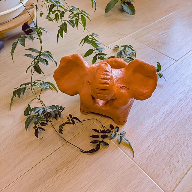 yuuuuさんの部屋