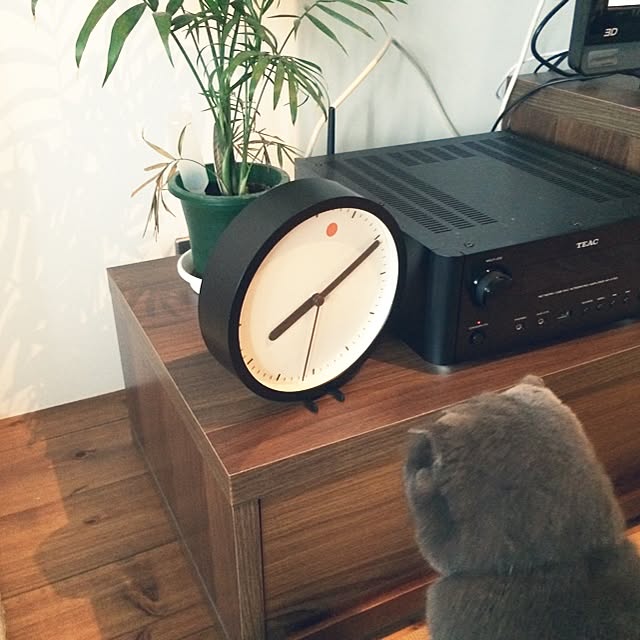 torinokoさんの実例写真