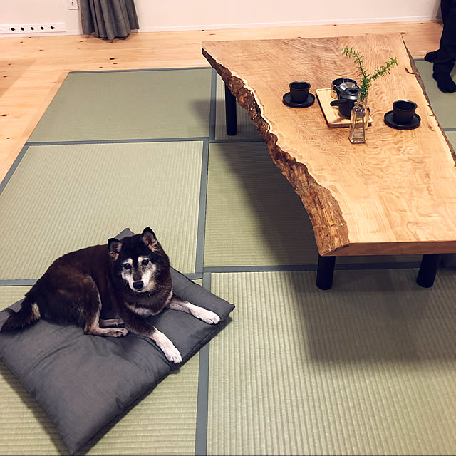 sakura0317さんの実例写真